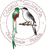 Consul Honoraria Guatemala